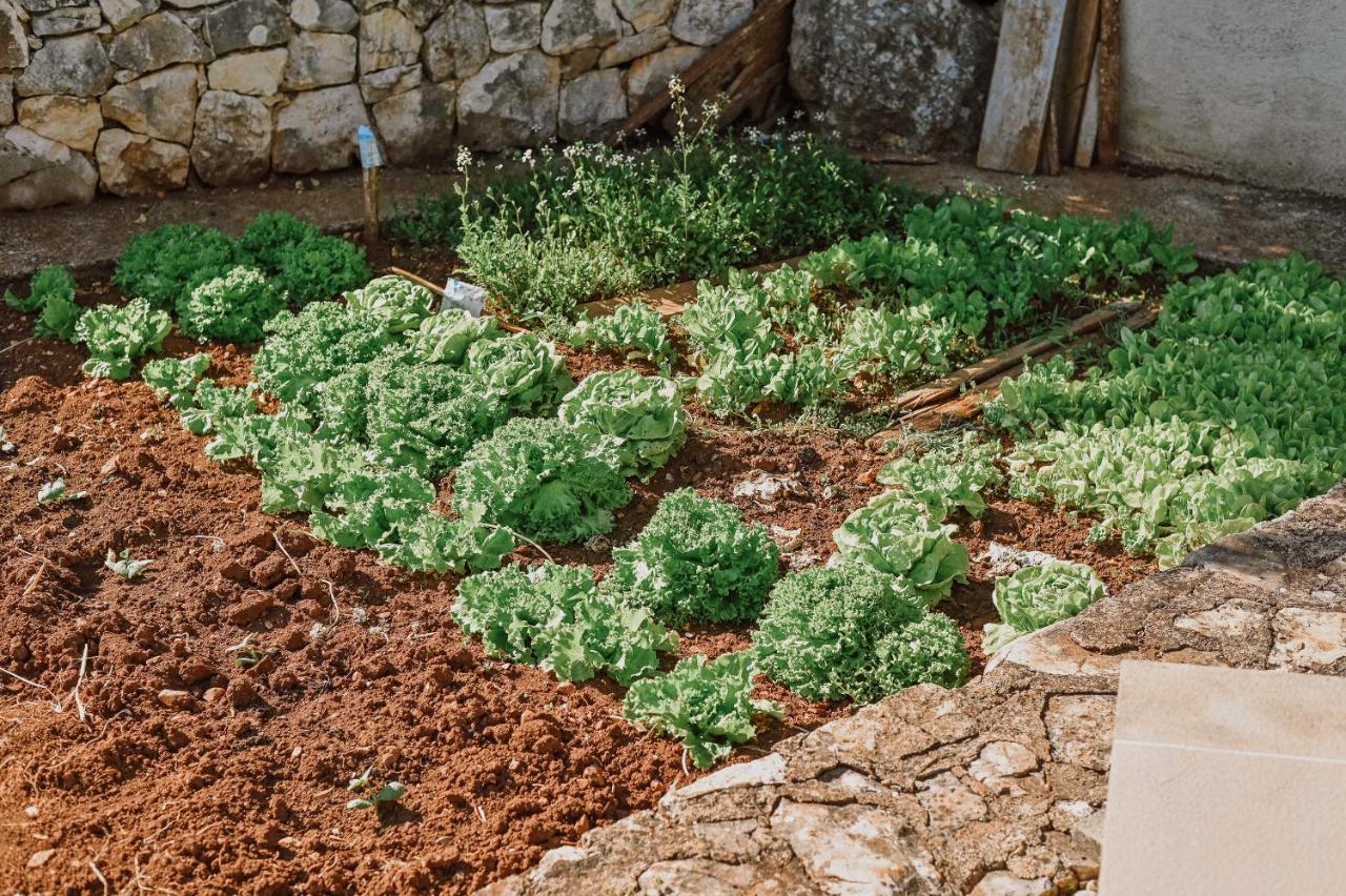 Vila Stala Malinska Εξωτερικό φωτογραφία